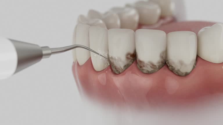 Reliable Dental contractor in Hamilton, TX by Dentist Open Now